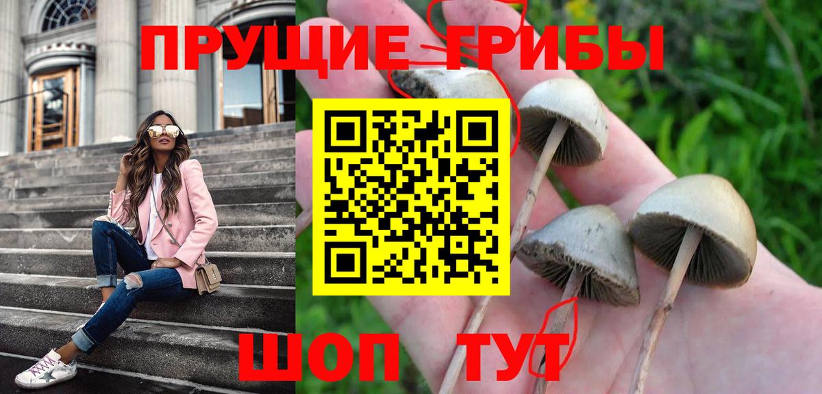 Гусев  Псилоцибиновые грибы ЛСД  Галлюциногенные грибы Magic Shrooms  Вход с VPN 